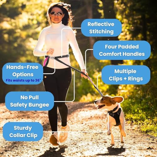 Dog Poop Bag Holder with Dispenser & Storage Pouch (Aqua)