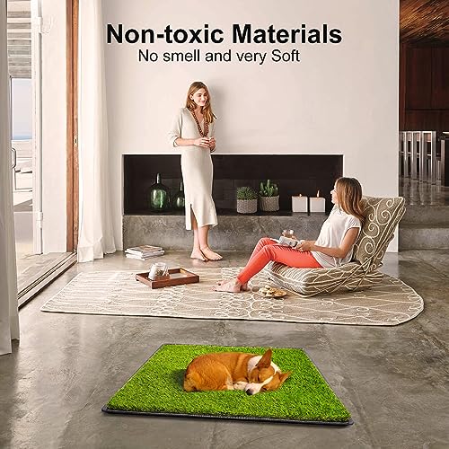 Dog Grass Pad with Tray