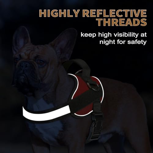 Essential Dog Harness (S / Red)