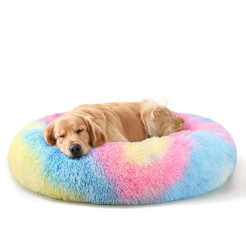 Dog Beds Large Sized Dog and Cats (Rainbow / 32.0"L x 32.0"W x 8.0"Th)