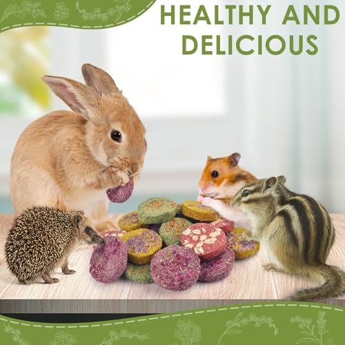 24Pcs Bunny Chew Toys (24 Count (Pack of 1))