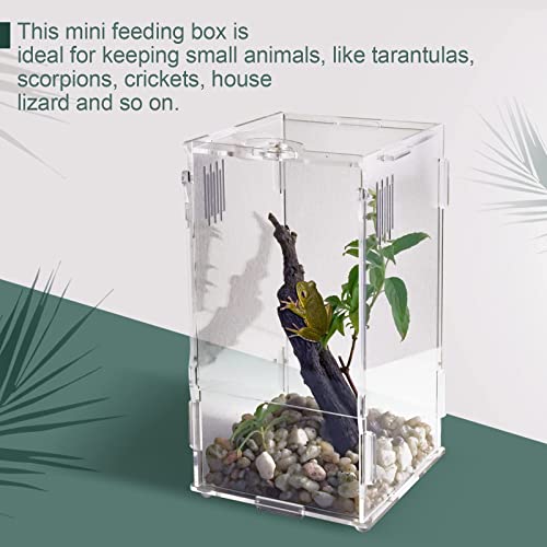 Small Acrylic Reptile Tank Habitat Locking Terrarium 4''x4''x8'' (Small)