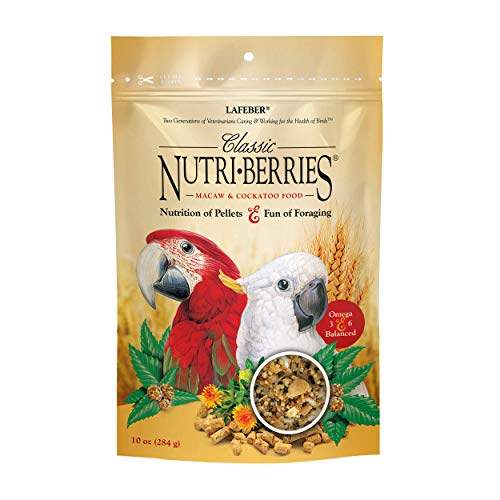 Classic Nutri (10 Ounce (Pack of 1))