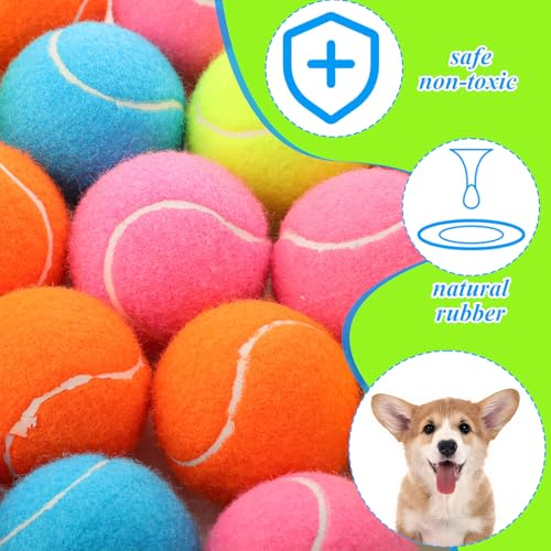 40 Pcs 2.5 Inch Squeaky Tennis Balls Bulk for Dogs Bouncy Floatable Tennis Balls Dog Playing Supplies Training Interactive Fetch Toys Indoor and Outdoor for Small Medium Puppy (Multicolor)