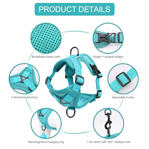 Cat Harness and Leash Set