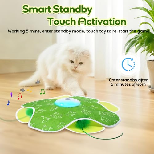 Interactive Cat Toys with Moving Feather Concealed in Mat