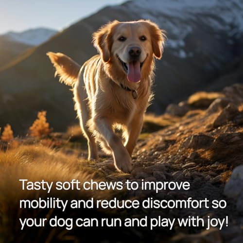 Joint & Hip Support Supplement for Dogs with Glucosamine (Large Dogs)