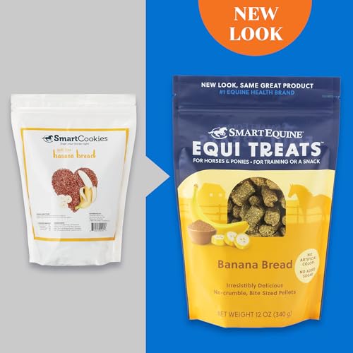 Equi Treats Banana Bread Flavor