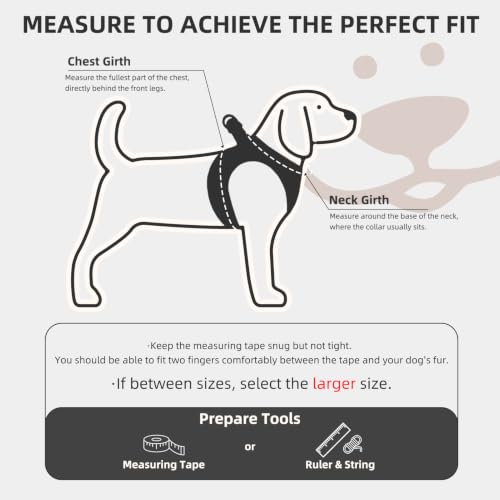 Dog Harness Collar and Leash Set No Pull for Small Medium Sized (Black / S (CHEST 14.5"-16"))