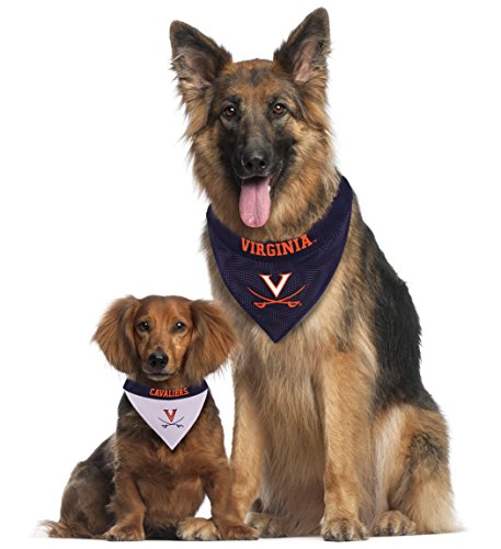 Collegiate Pet Accessories (Small/Medium / Virginia Cavaliers)