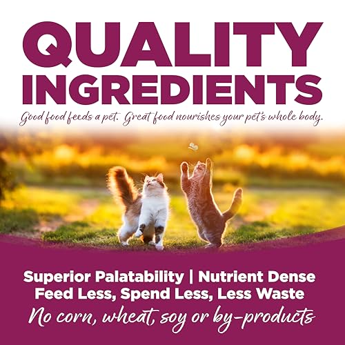 Cat & Kitten Dry Food (12 Pound (Pack of 1))