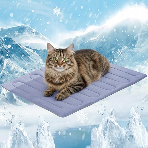 Dog Cooling Mat (Blue / 28" x 20" - M-Crate)