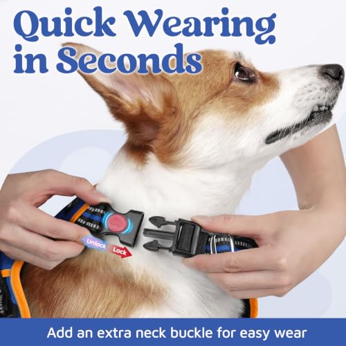 Dog Harness for Large (Royal Blue & Orange / X-Large)