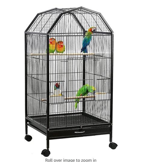 40 Inch Wrought Iron Bird Cage with Open