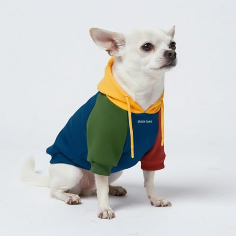 Dog Hoodie Buttery (Primary Color Block / Small)