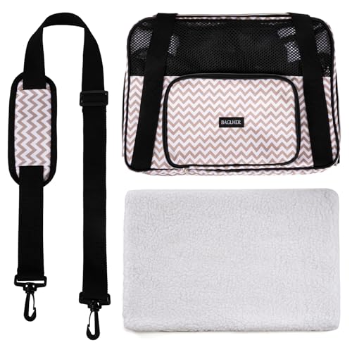 Pet Travel Carrier (BLW)