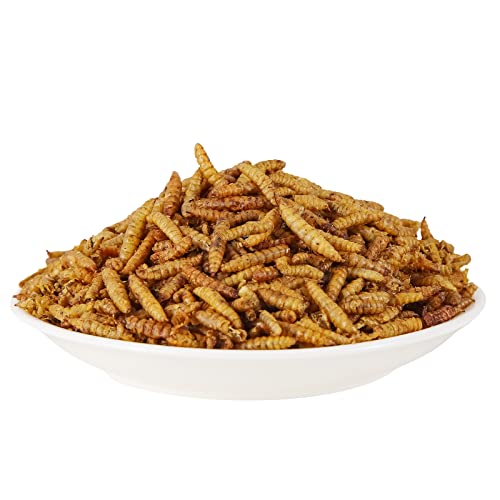 44lb Dried Black Soldier Fly Larvae for Chickens Hen High Protein Duck Food (44 Pound (Pack of 1))