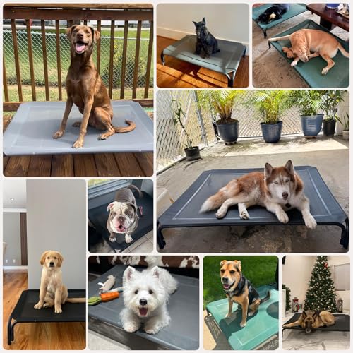 Elevated Dog Bed Outdoor Cooling Raised Cot for XL Dogs (XL-48.8"L×35.8"W×7.9"Th / Black)