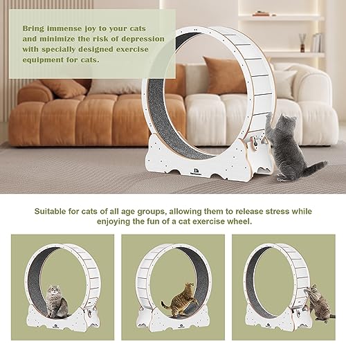 Cat Wheel 53" XXL Large Exercise Running Wheels with Detachable Carpet for Indoor Cats (White / XXL)