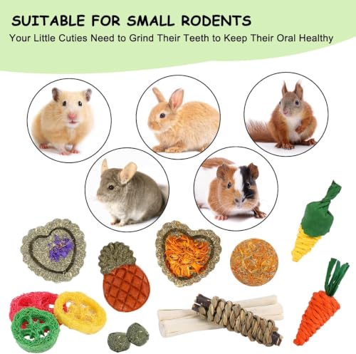 Bunny Toys 21PCS Rabbit Chew Toys for Teeth (21Pack-small Set)