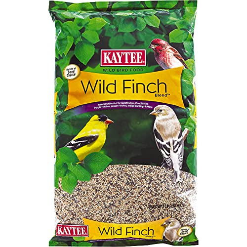 Wild Finch Blend (8 Pound (Pack of 1))