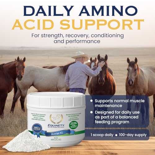 100 Day Supply Equinety Horse XL Powder Horse Supplement with Amino Acids (Horse XL)