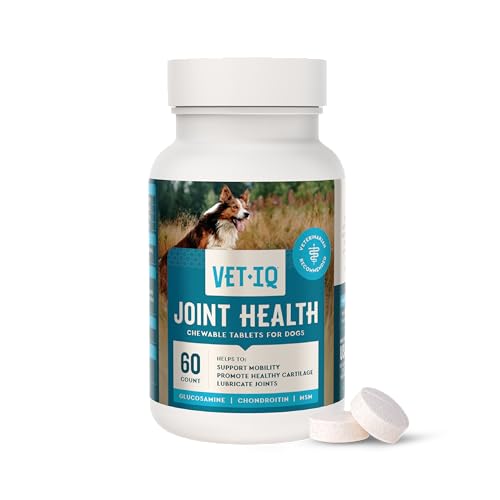 Hip & Joint Chewable Tablets for Dogs (Standard Strength / 60 Count (Chewable Tablets))