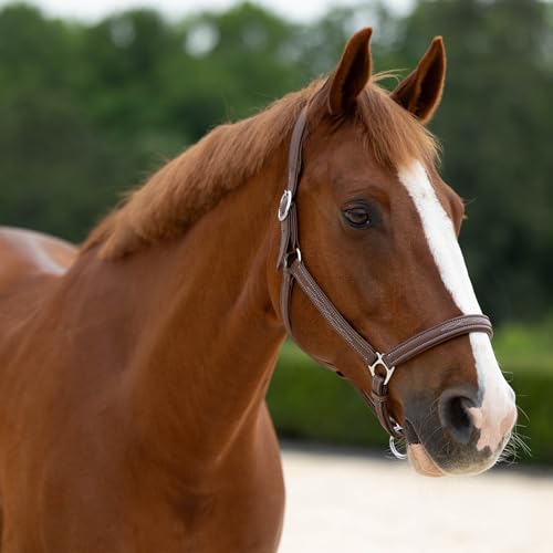 Warren Soft Adjustable Genuine Leather Horse Halter (Light Brown / Warmblood)