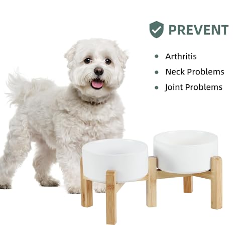 Dog Bowls Elevated (Matte White)