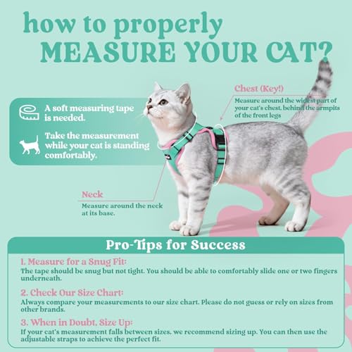 Cat Harness and Leash