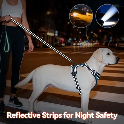 No Pull Dog Harness Medium Reflective Front Clip Puppy Vest (Medium / Blue)