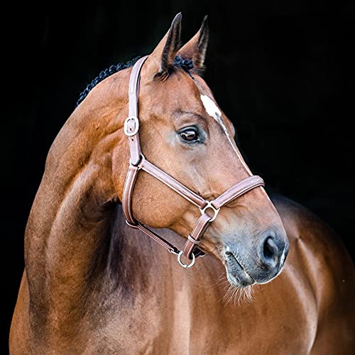 Warren Soft Adjustable Genuine Leather Horse Halter (Light Brown / Cob)