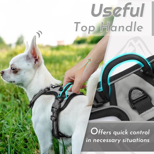Dog Harness for Small Dogs (X-Small / Grey)