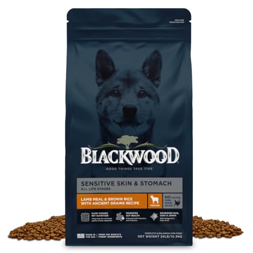 Sensitive Premium Dry Dog Food (Lamb Meal & Brown Rice with Ancient Grains / 24 Pound (Pack of 1))