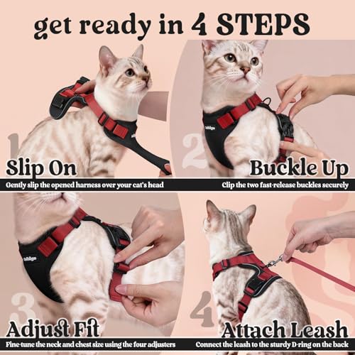 Cat Harness and Leash Set (M / Black & Red)