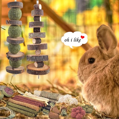 70PCS Rabbit Chew Toys (70)