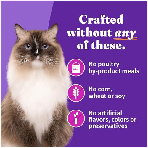Pate Wet Cat Food