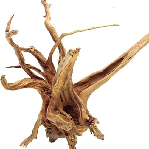 Natural Large Spiderwood Driftwood for Aquarium Decor Rptile Fish Tank Decoration Assort Branch 13 (Spiderwood 13 to 16 Inch (Pack of 1))