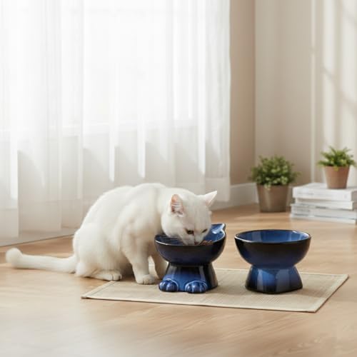 Elevated Cat Bowls (6.8 OZ+15.5 OZ / Blue & Black)