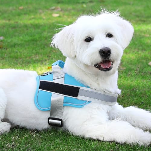 Dog Harness No (Medium (Pack of 1) / OceanicBlue)