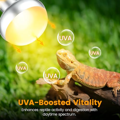 Dual Reptile Lamp Fixture with 100W Daytime Heat & 100W Nighttime Infrared Heat Bulbs (ST2)