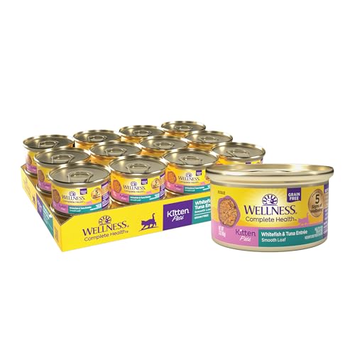 Complete Health Pate Kitten Canned Wet Cat Food (3 Ounce (Pack of 24))