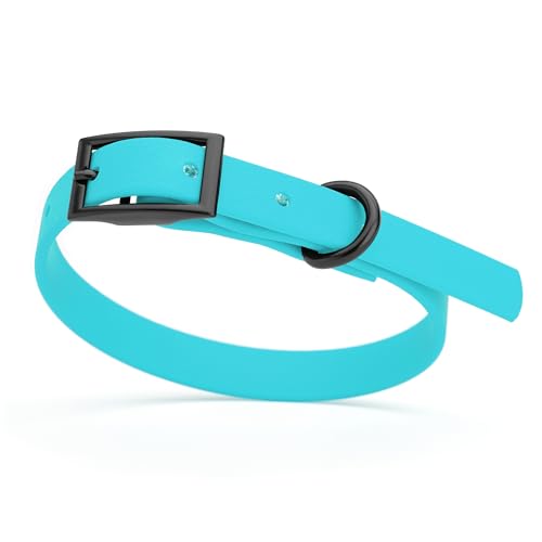 Biothane Waterproof Dog Collar Strong Coated Nylon Webbing with Black Hardware Odor (W1/2" x L9-12" / Sky Blue)