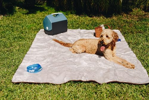PupProtector Waterproof Throw Blanket for Dogs and Cats (Short Grey / Large (80" L x 62" W))