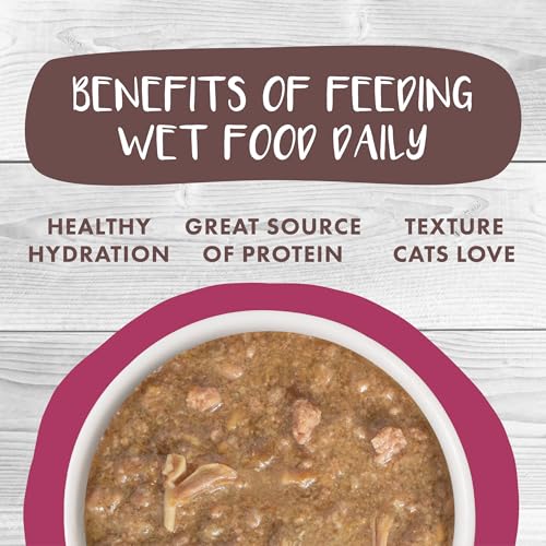 Classic Cat Stews! (2.8 Ounce (Pack of 12))
