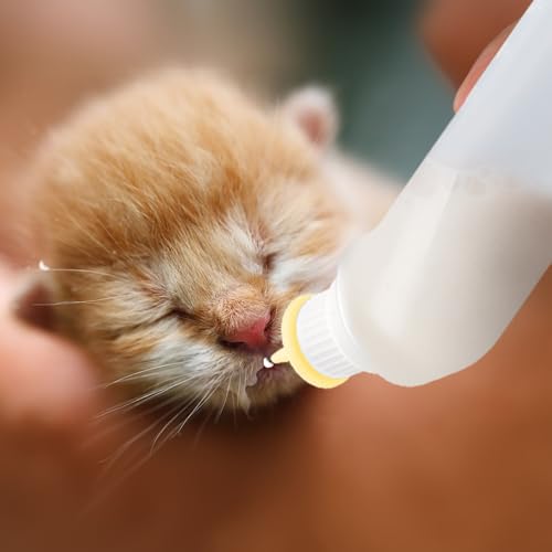 5Pack Kitten Bottle for Nursing Puppy Milk Kitten Bottles Feeding Kit Silicone Nipple for Newborn Pets Kittens