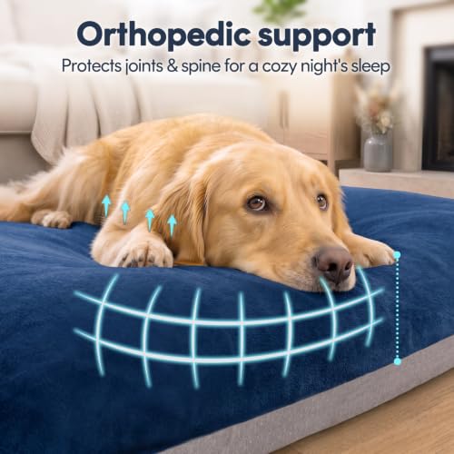 Super Soft Medium Dog Bed (32.0"L x 24.0"W x 3.0"Th / Blue)