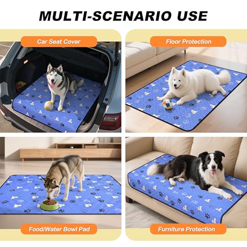 Washable Pee Pads for Dogs (Blue / 63"x63" (Pack of 1))