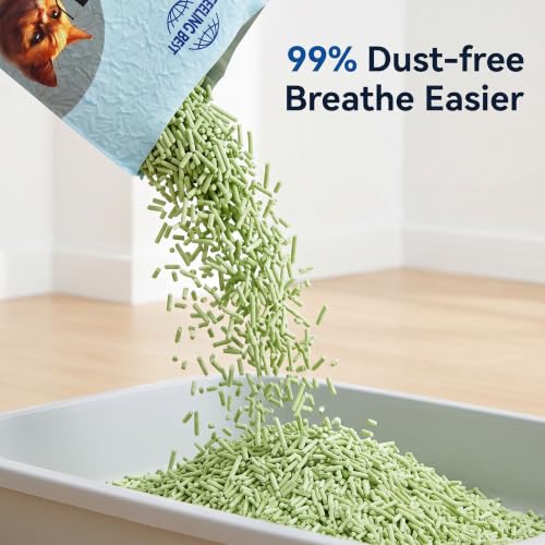 Green Tea Tofu Cat Litter (11.2LB)