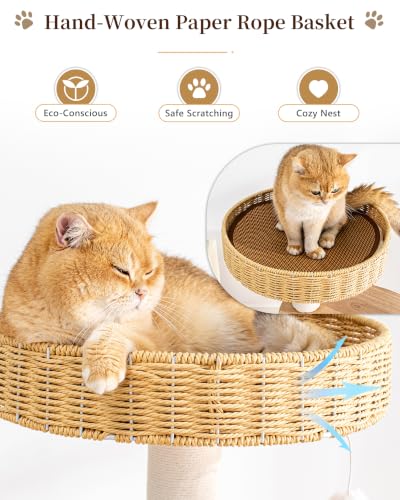 Wood Cat Tree for Large Cat (Nature DC888)